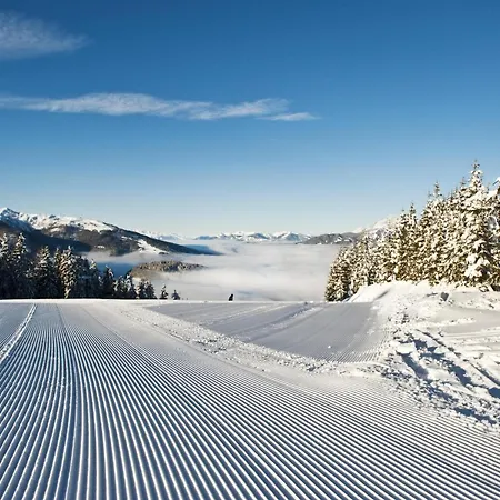Waldzauber *